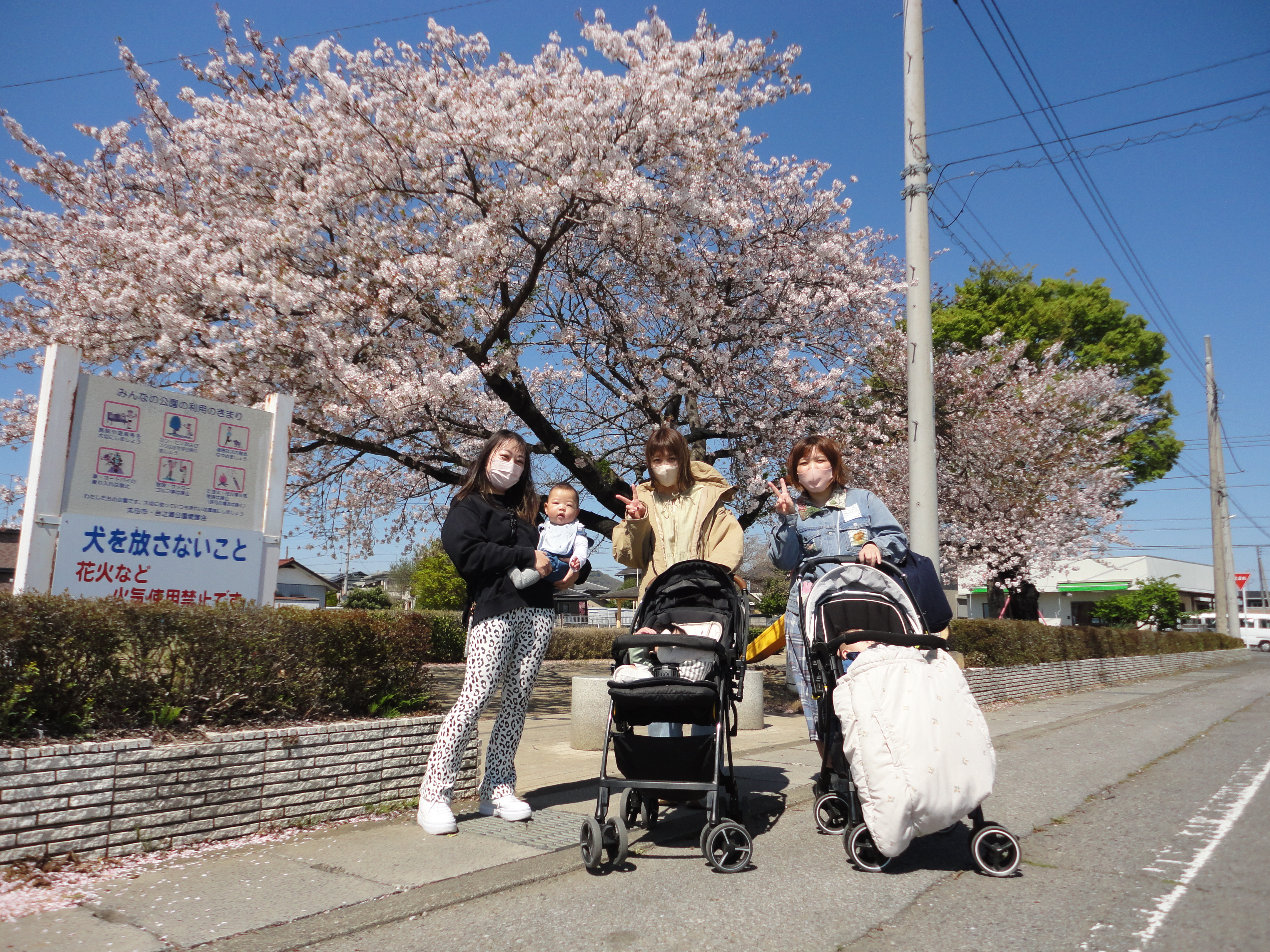 令和８年度
第１回　「散歩」