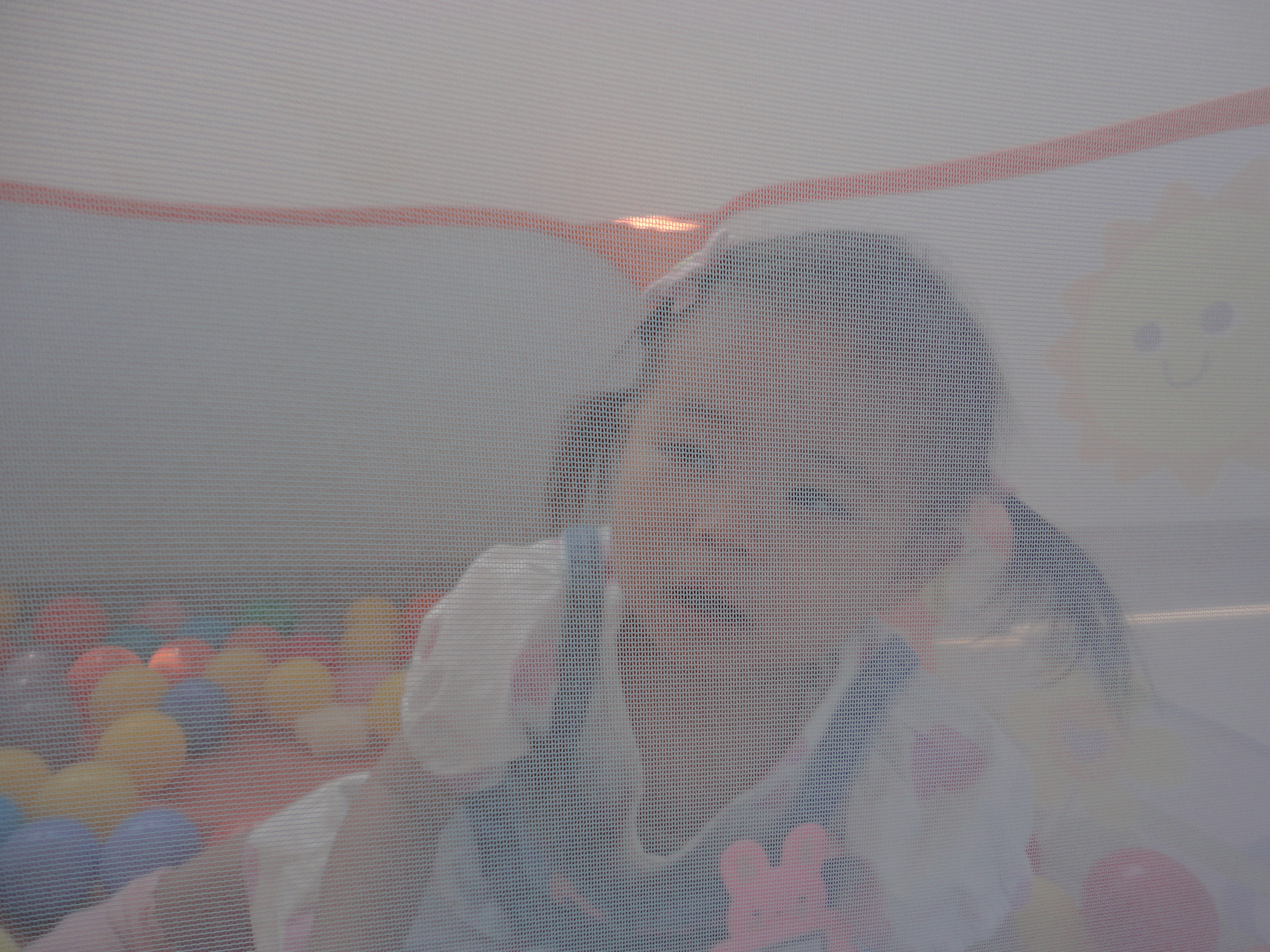 令和７年度
第３回　「母の日製作」